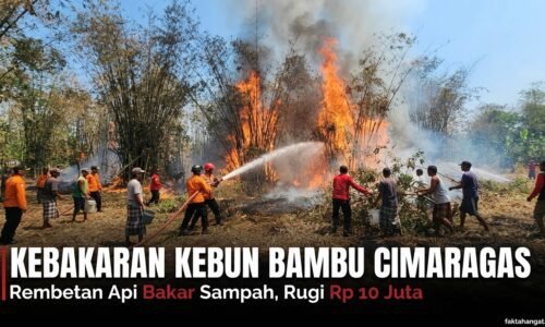 Gara-Gara Bakar Sampah, Api Merembet ke Kebun Bambu Warga Cimaragas Ciamis, Rugi Rp 10 Juta