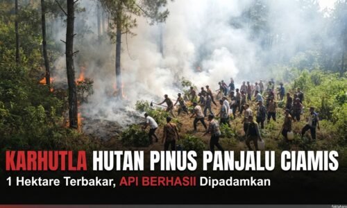 Lagi-Lagi Karhutla! 1 Hektare Hutan Pinus Perhutani di Panjalu Ciamis Terbakar
