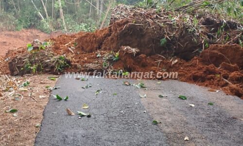 Tebing Setinggi 25 Meter Longsor, Jalan Penghubung Gardu-Ciilat di Cipaku Terputus Total!